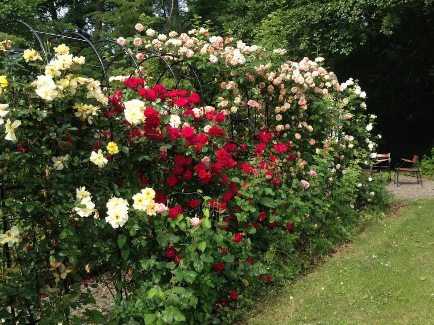 Hotel Willa Starosty