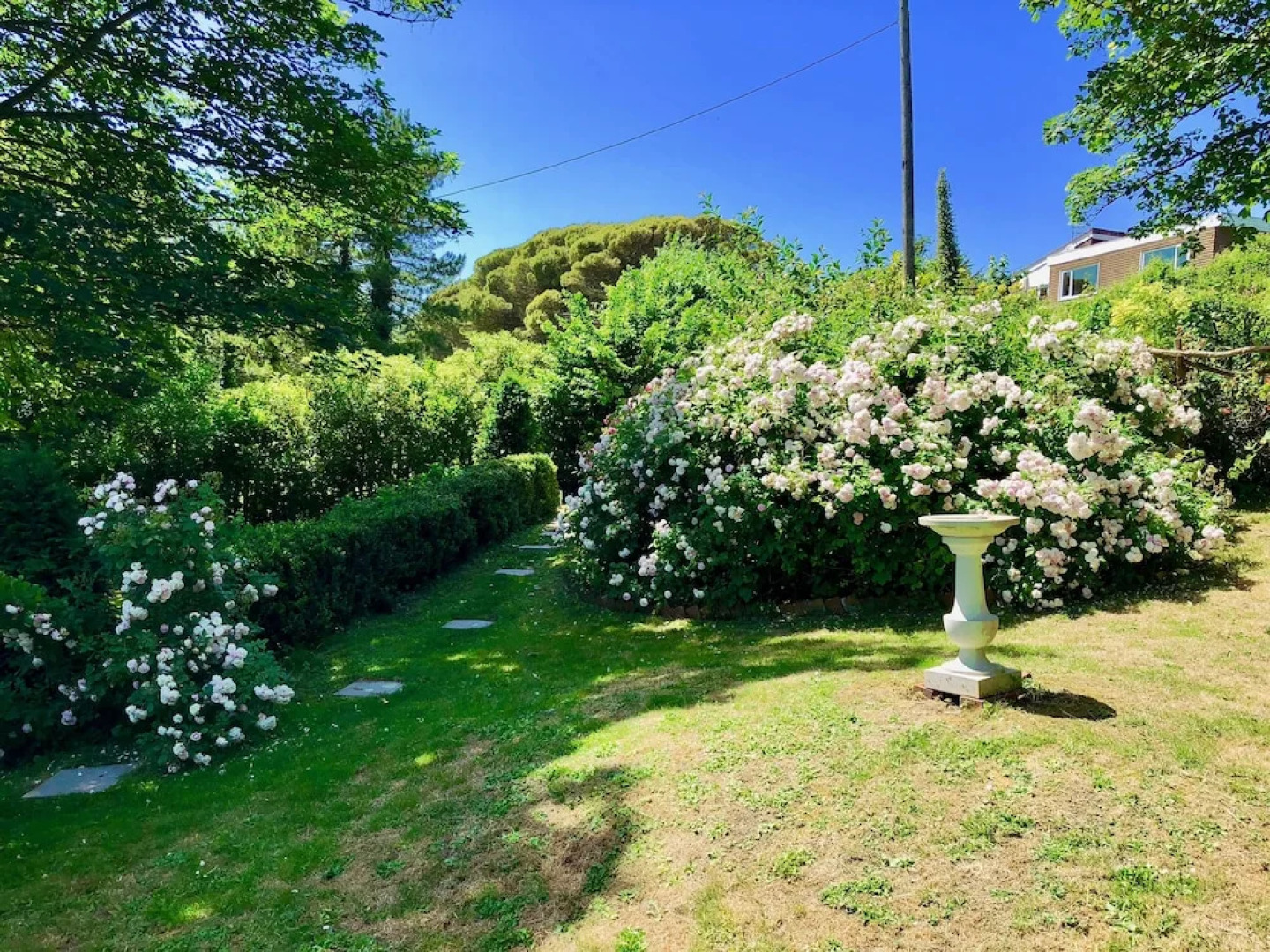 2 Old Park Cottages - St Lawrence