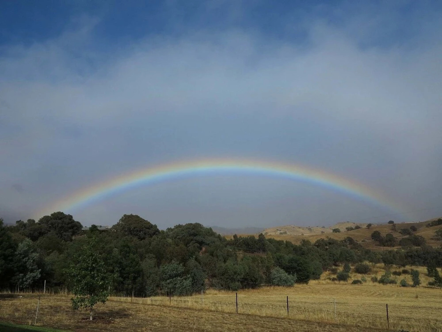 The Chocolate Lily B&B