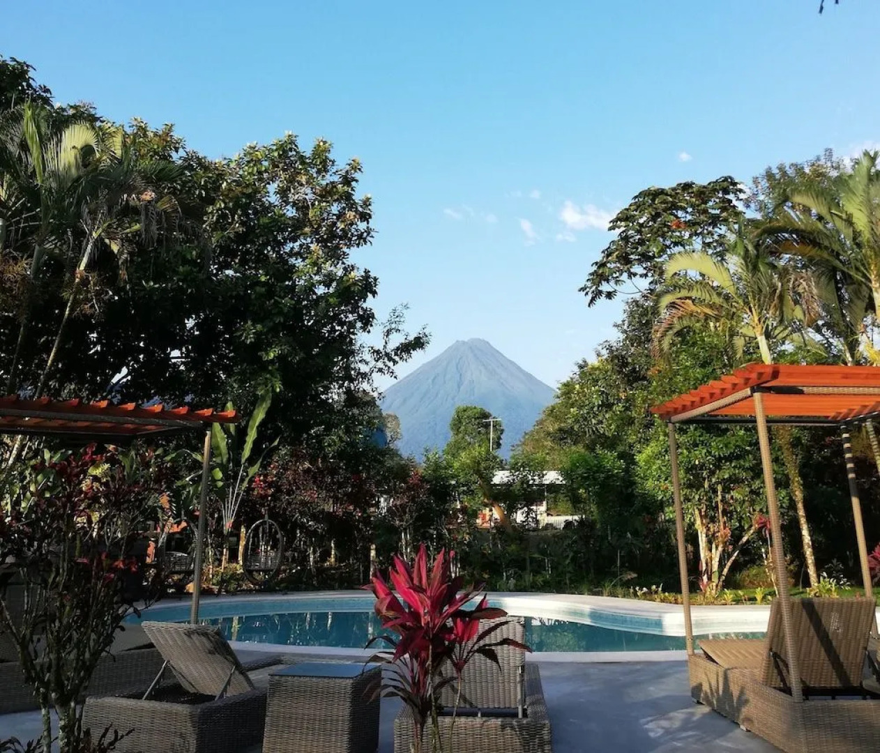 Noah's Forest by Tifakara