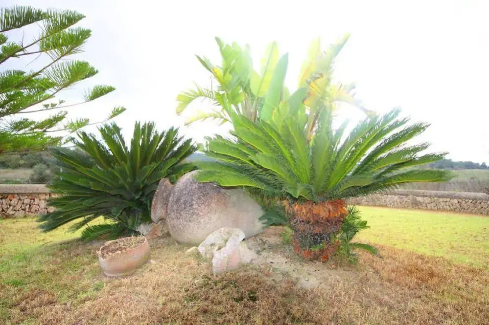 Bou Ros Finca Can Manenta