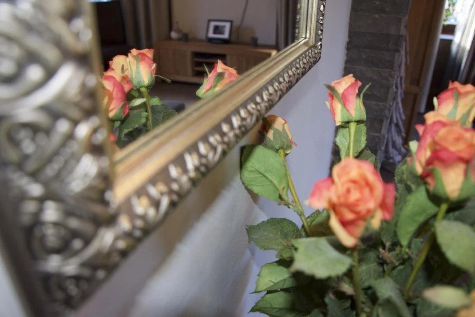 Suite & City Apartments