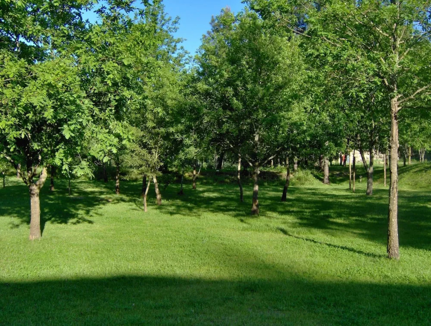 Room in B&B - Vale Martinho - Paradise is Real