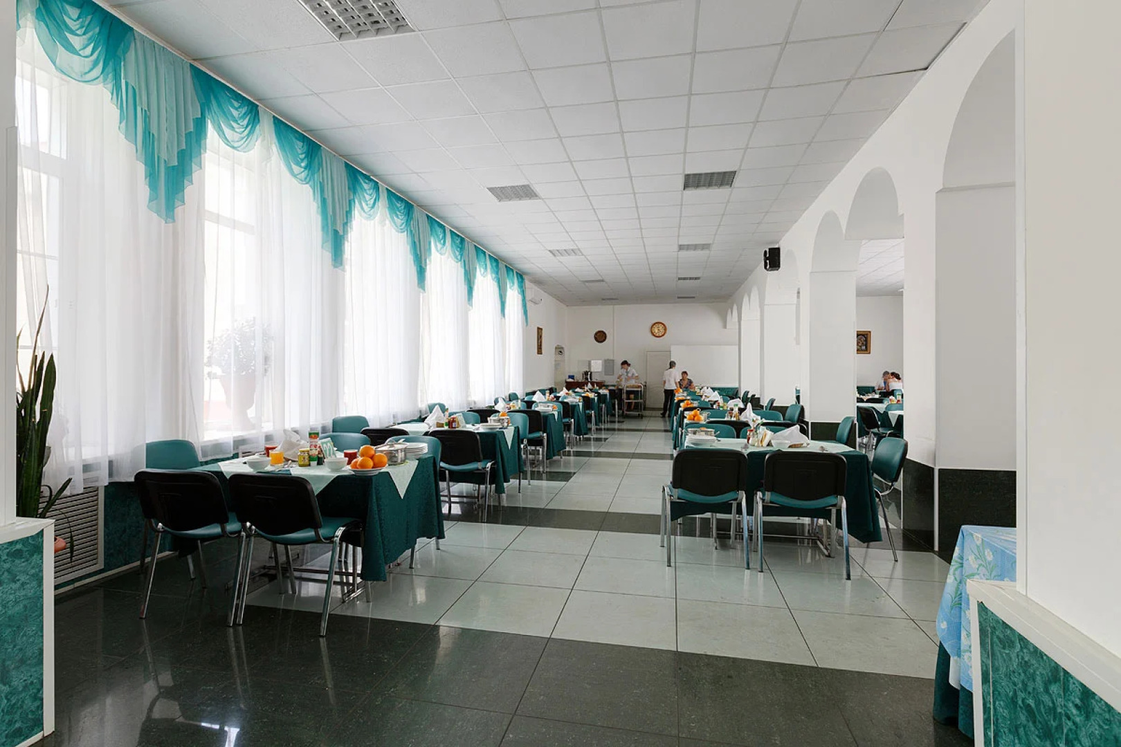 Кедровый бор