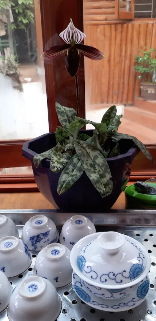 Dang Khoa Garden Inn