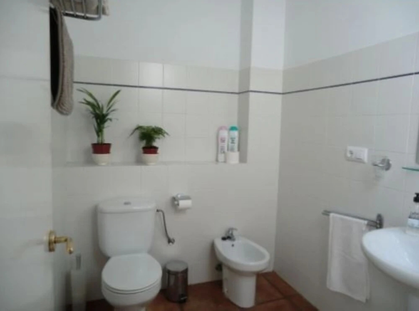 103983 -  House in Grazalema