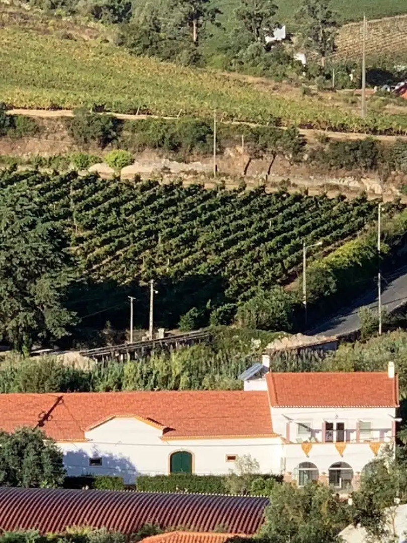Quinta Ribeira do Labrador - Lisbon West Wine Route