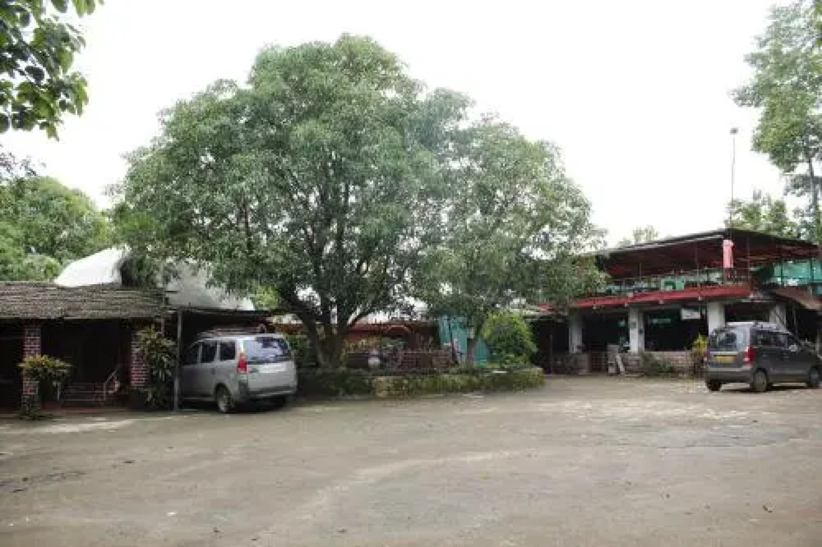Sai Farms