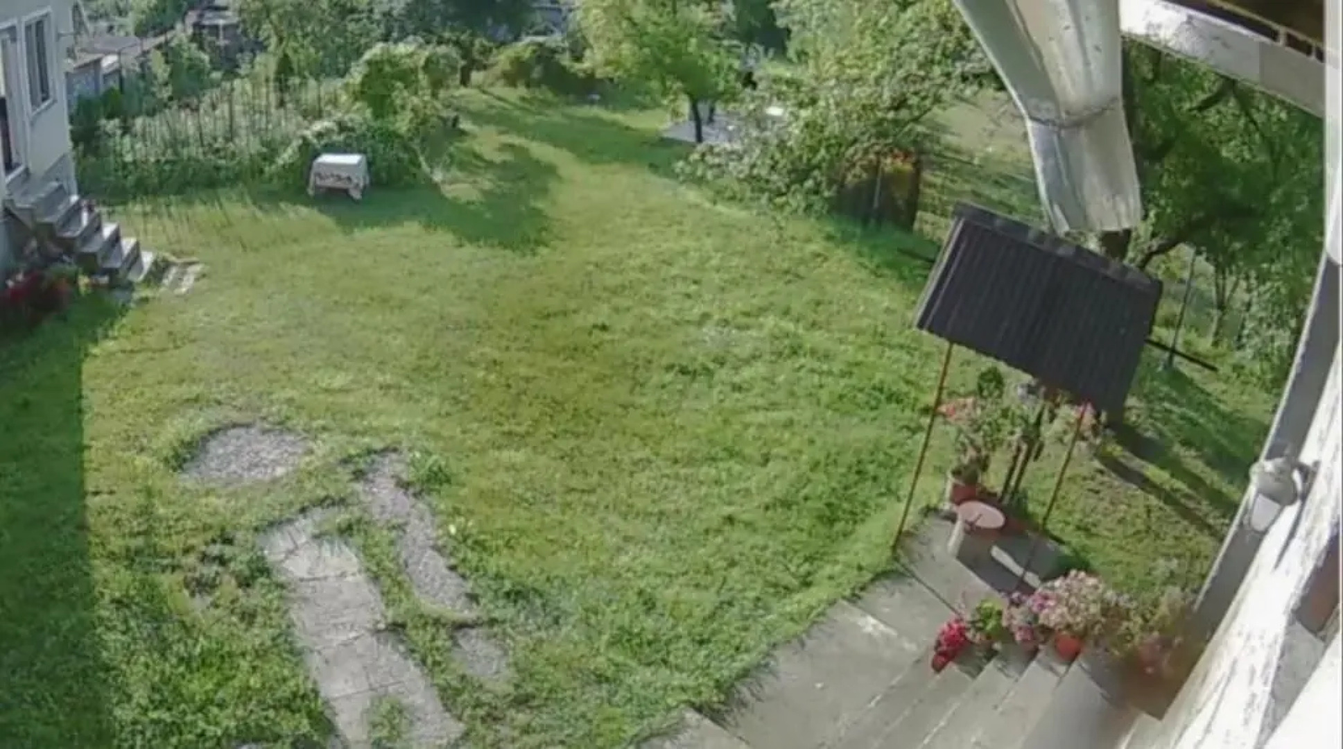 Pensiunea Adeluta Apartament