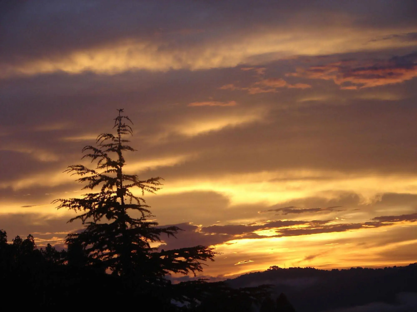 Anant Rasa -An Amritara Private Hideaway