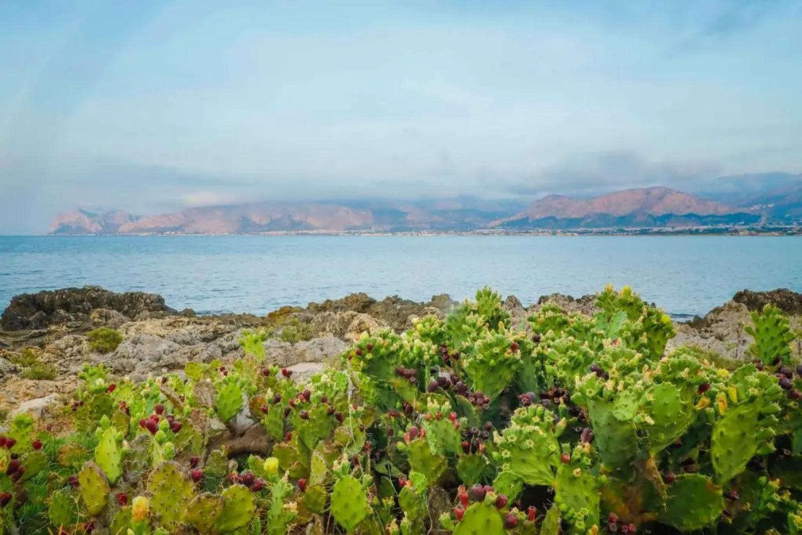 Airport sicily home palermo