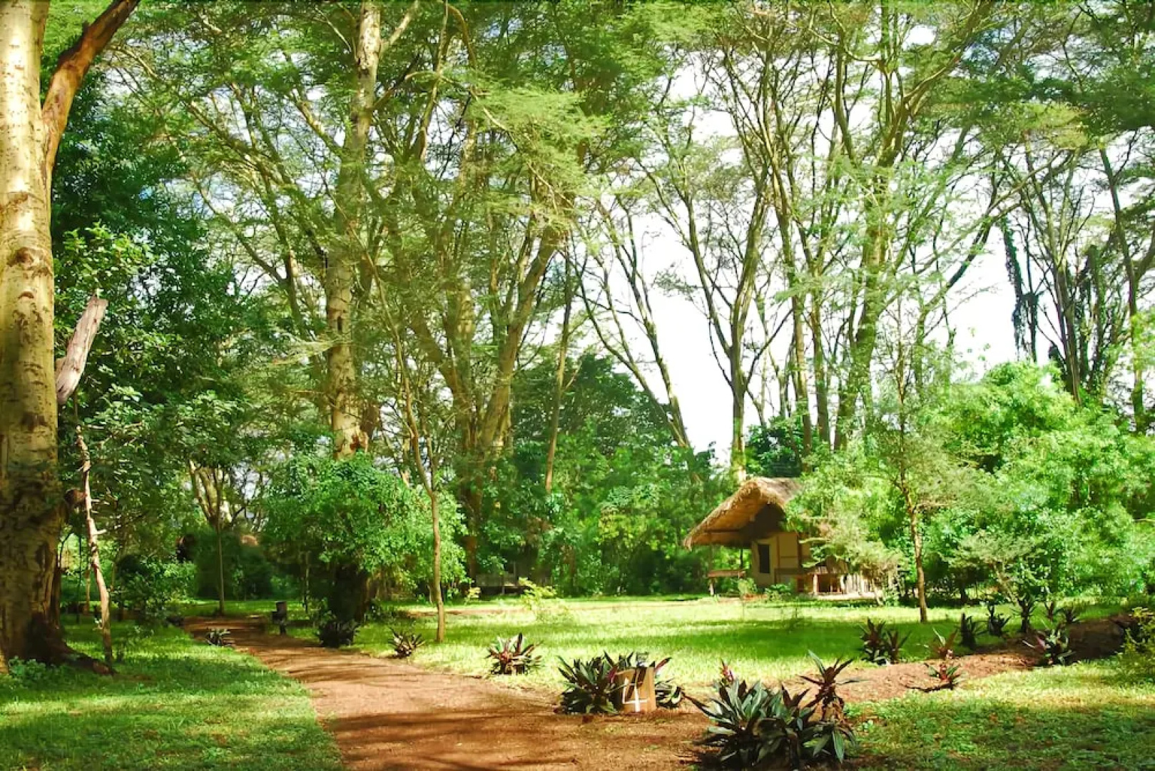 Migunga Forest Camp