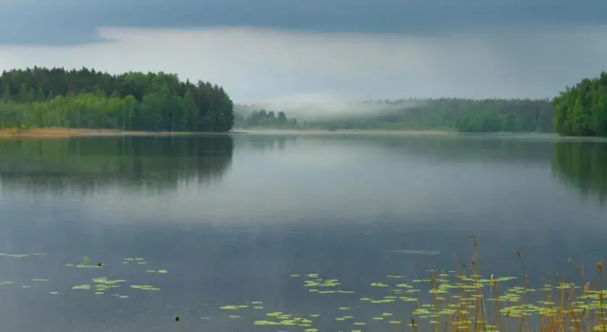 Veselības Sala