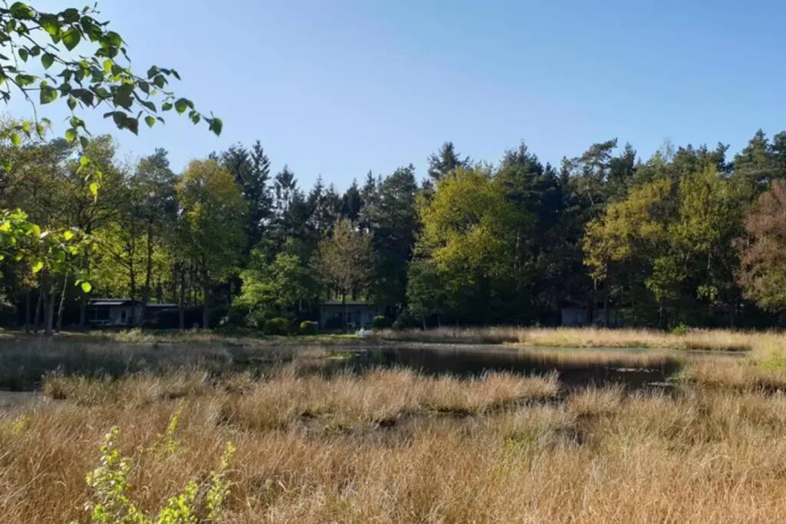 Drentse bungalow in natuur en rust