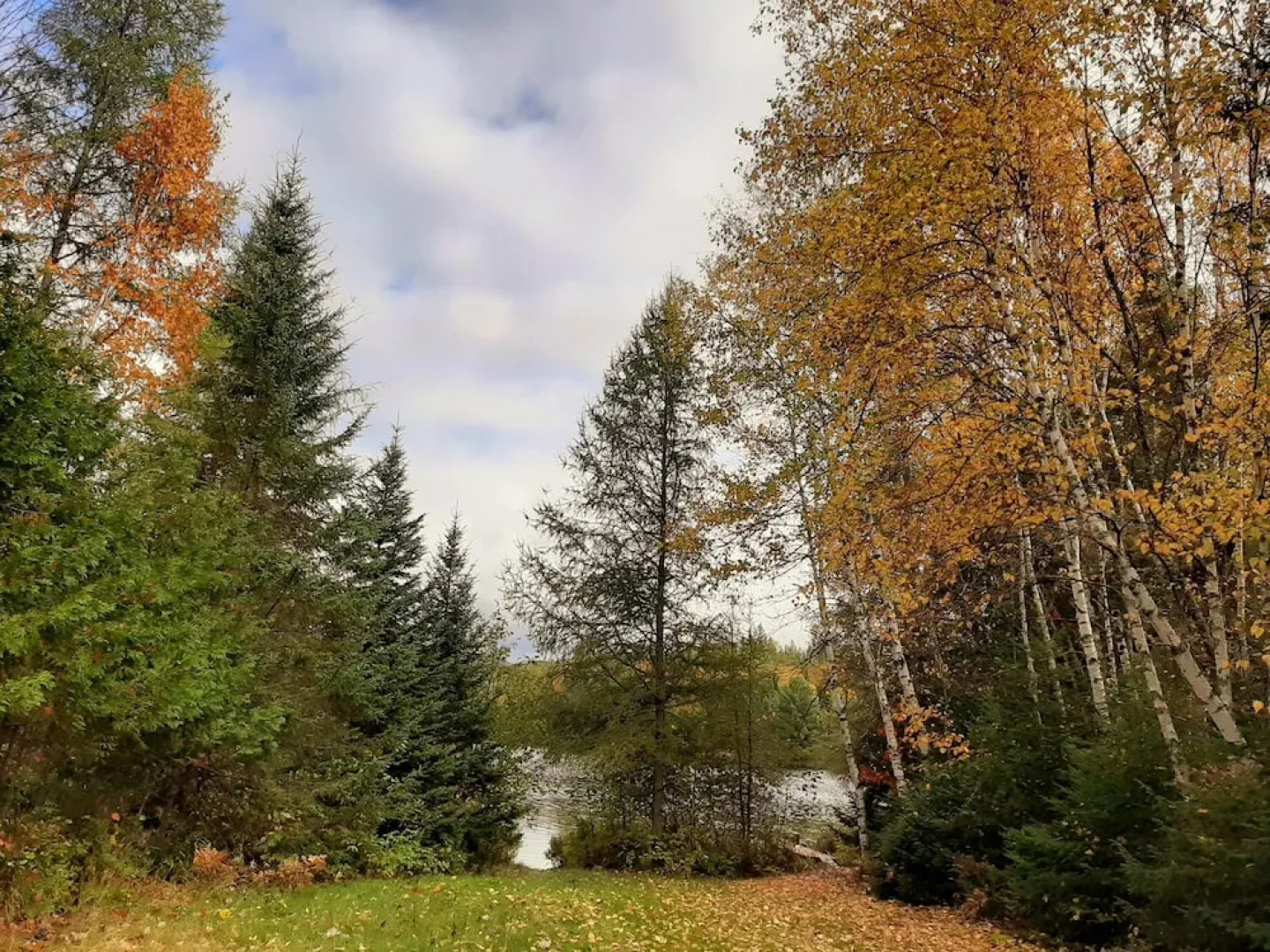 Le M Sangeai Citq 300267