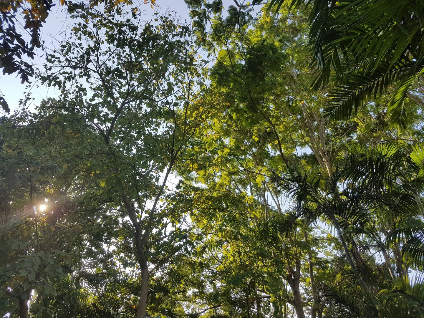 Guesthouse Ratchaburi