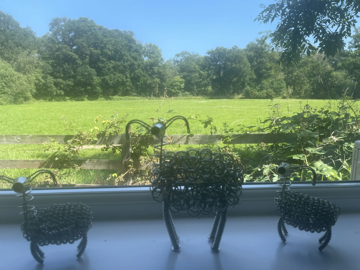 Village Limits Bed & Breakfast Accommodation