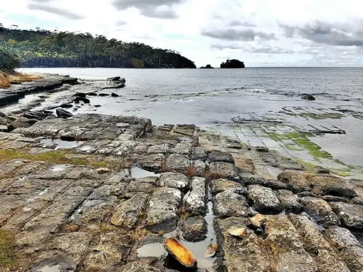 Eaglehawk Rainforest Retreat