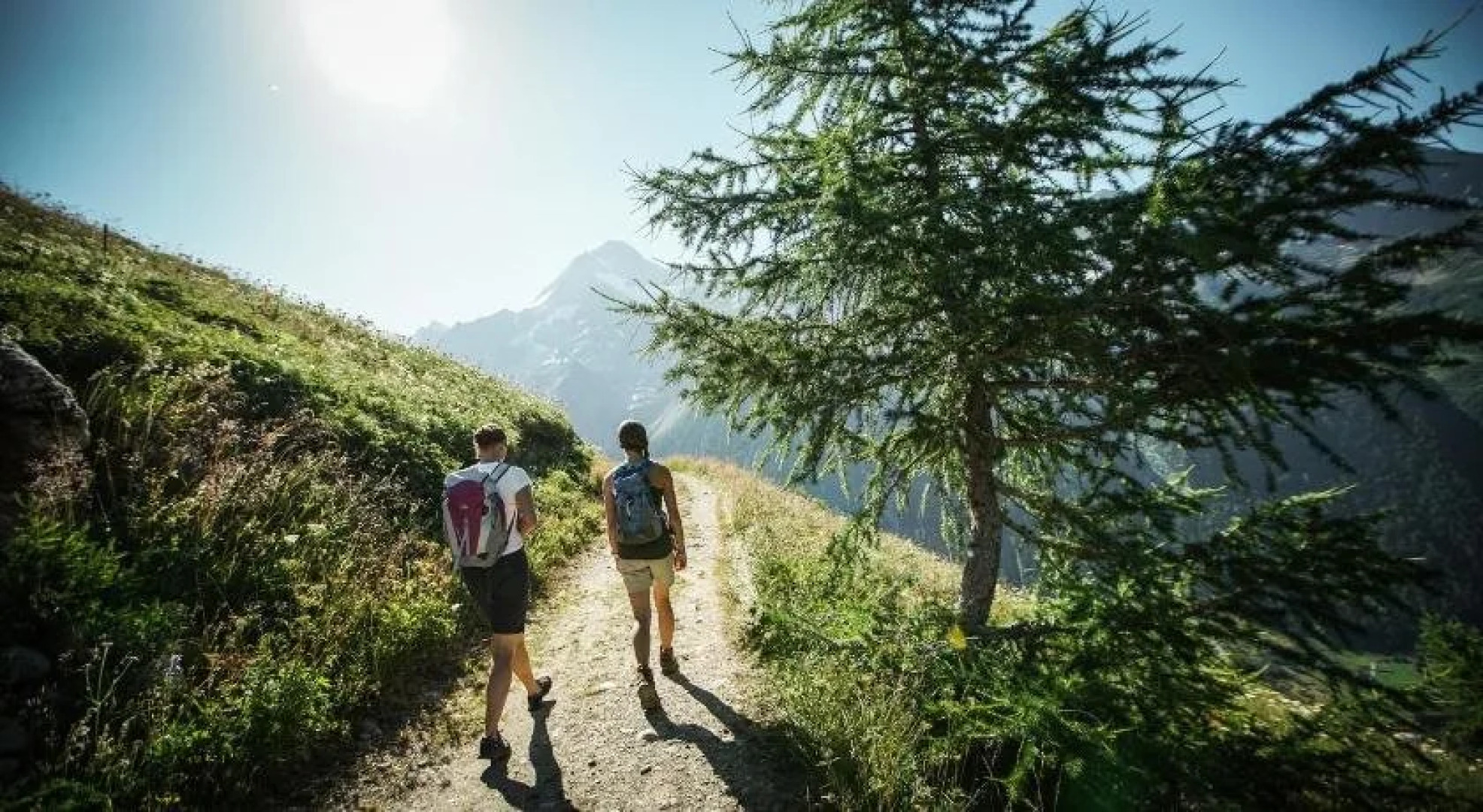 Nest- und Bietschhorn