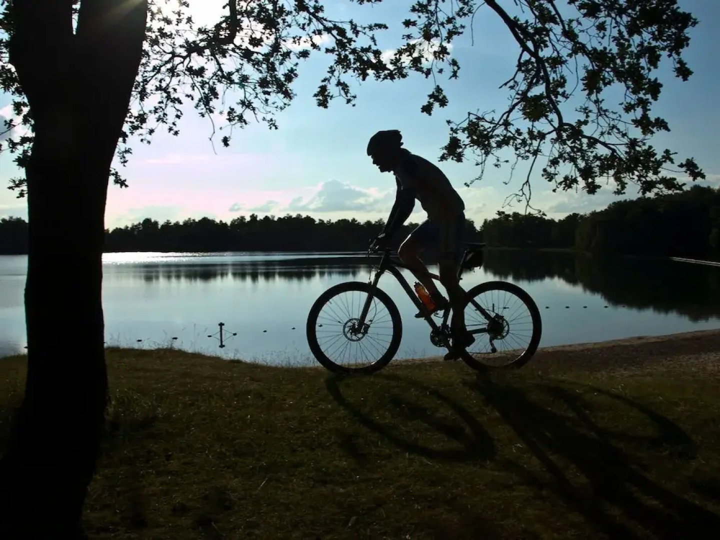 Atmospheric Bungalow With Dishwasher, in Friesland