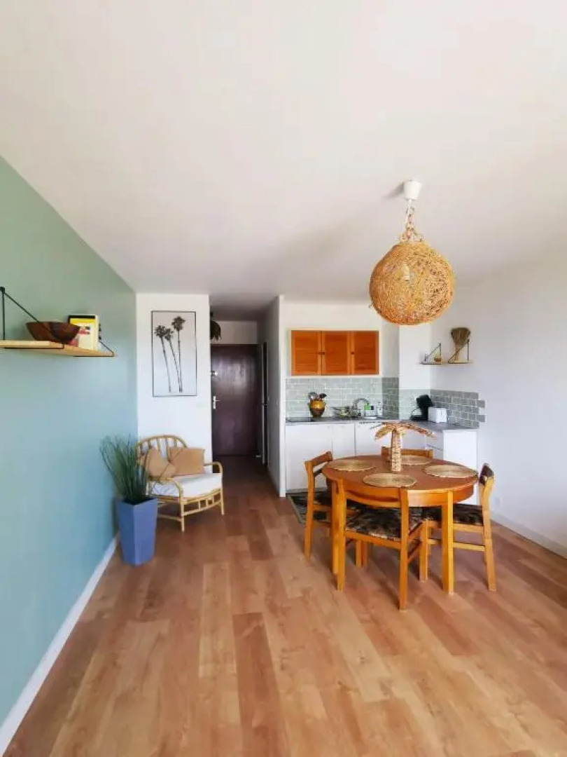 "Les Palmiers" Studio spacieux vue mer Terrasse & Parking