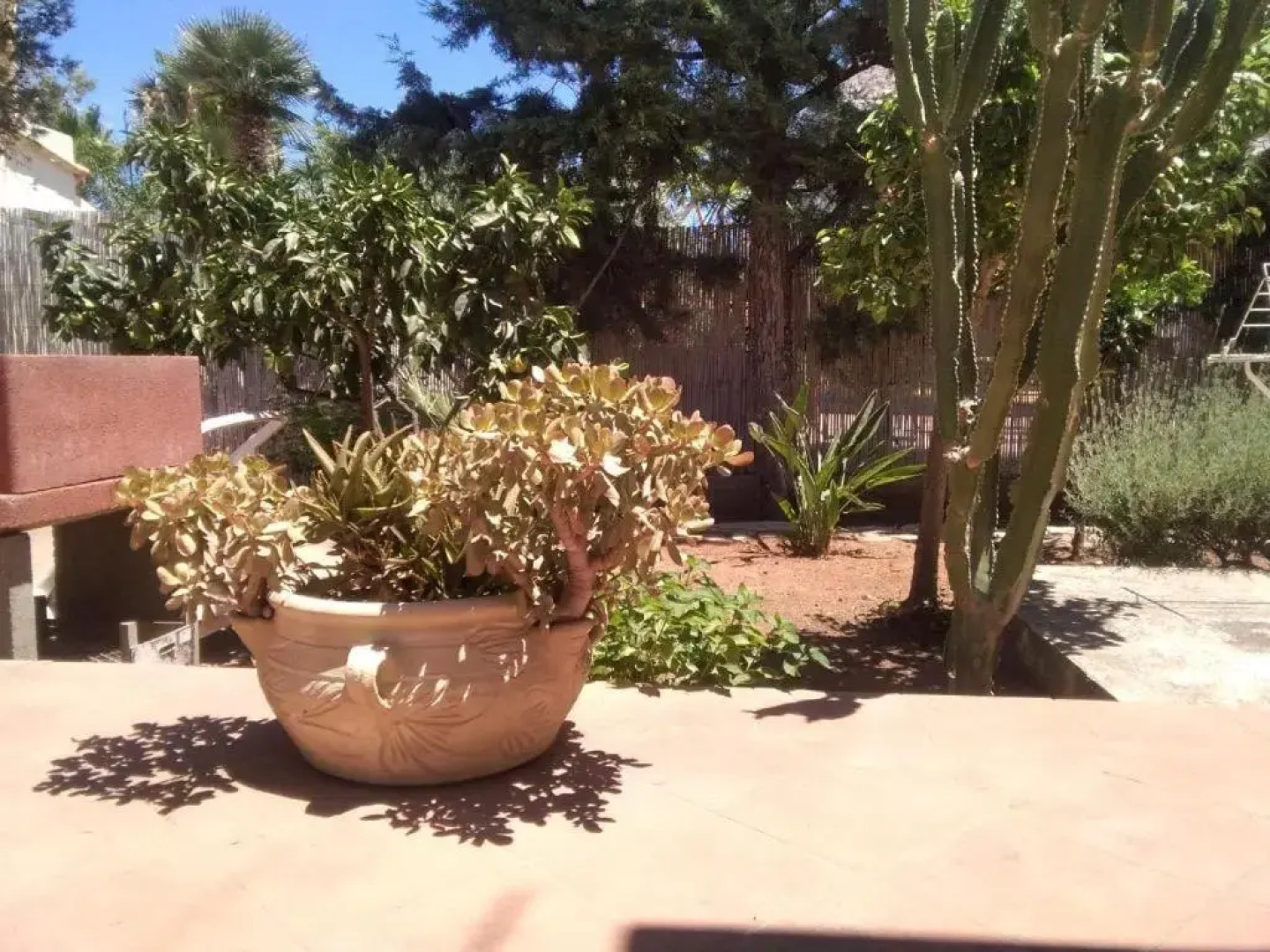 Ville Magnolie-Tre Rose