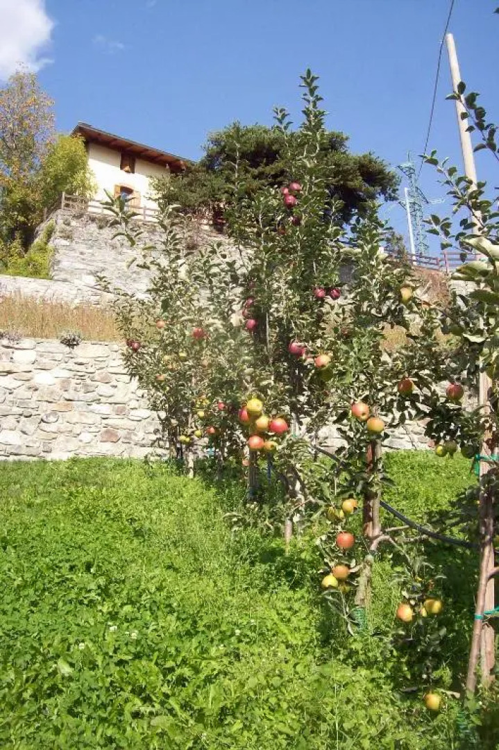 Agriturismo Au Jardin Fleuri