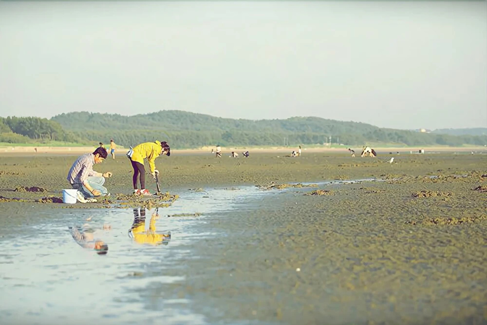 Anmyeongdo Mediterranean Pension