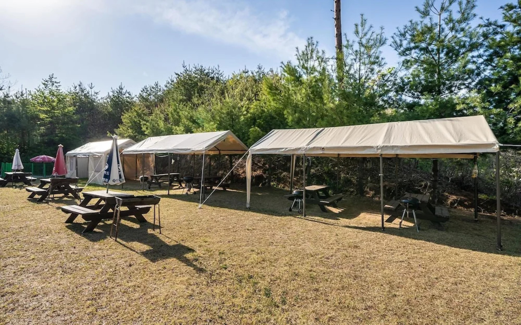 Yangyang See Star Donghae