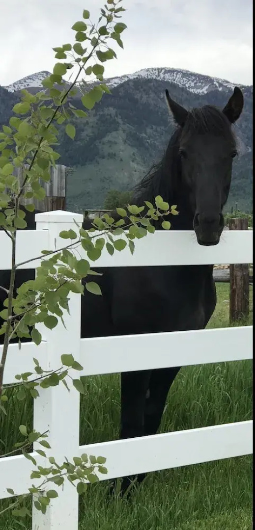 Z Bar Z Ranch Guest Loft