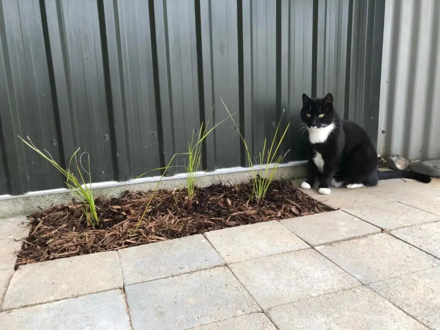 Cosy Country Stay B&B (Adults Only)