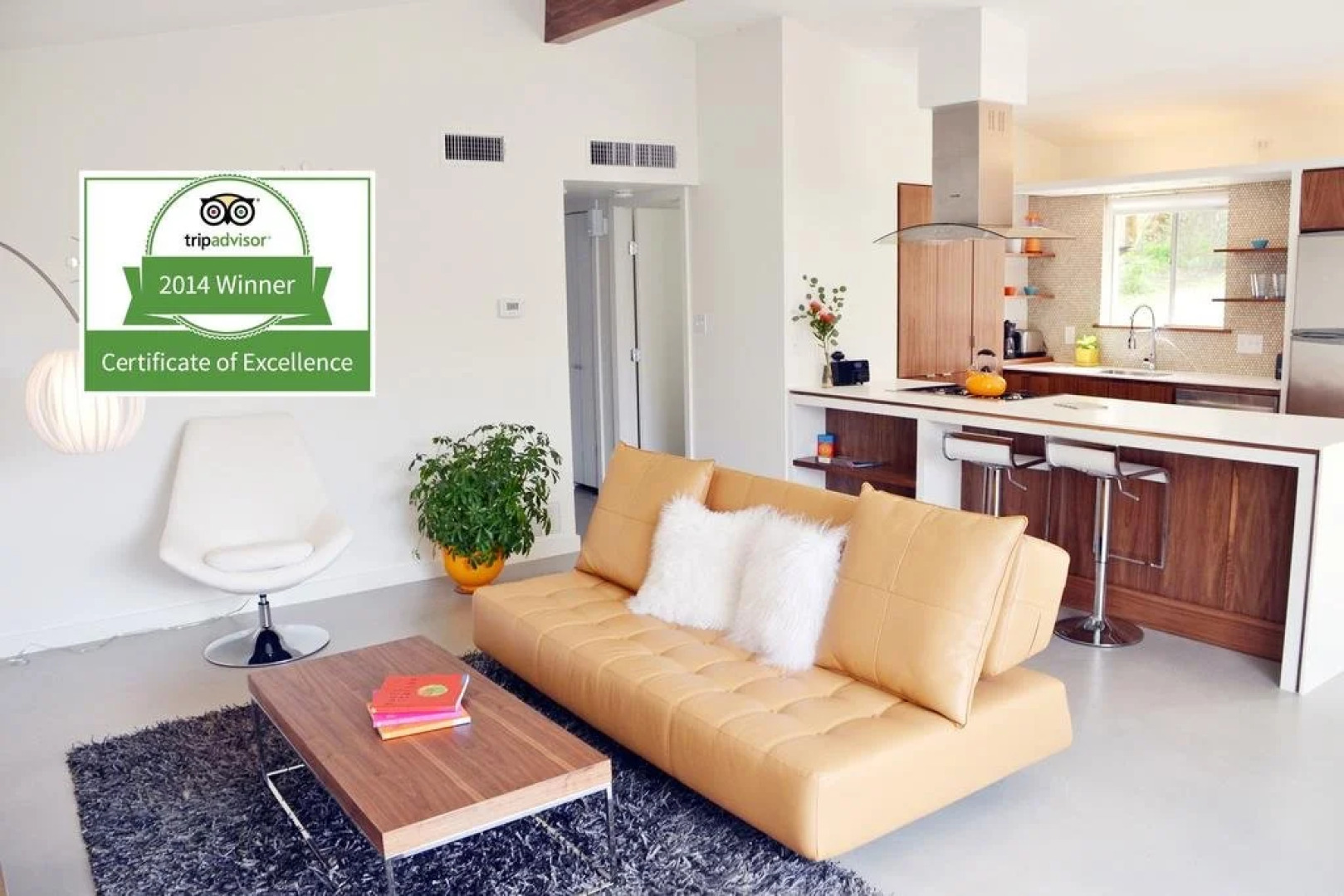 Travis Heights Modern IV