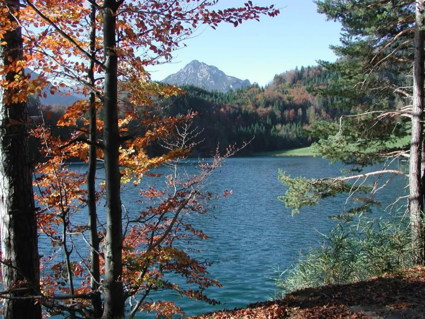 Die Lilie - Hotel Garni