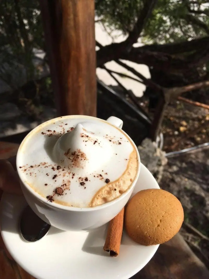 The Island - Pongwe Lodge - Adults Only