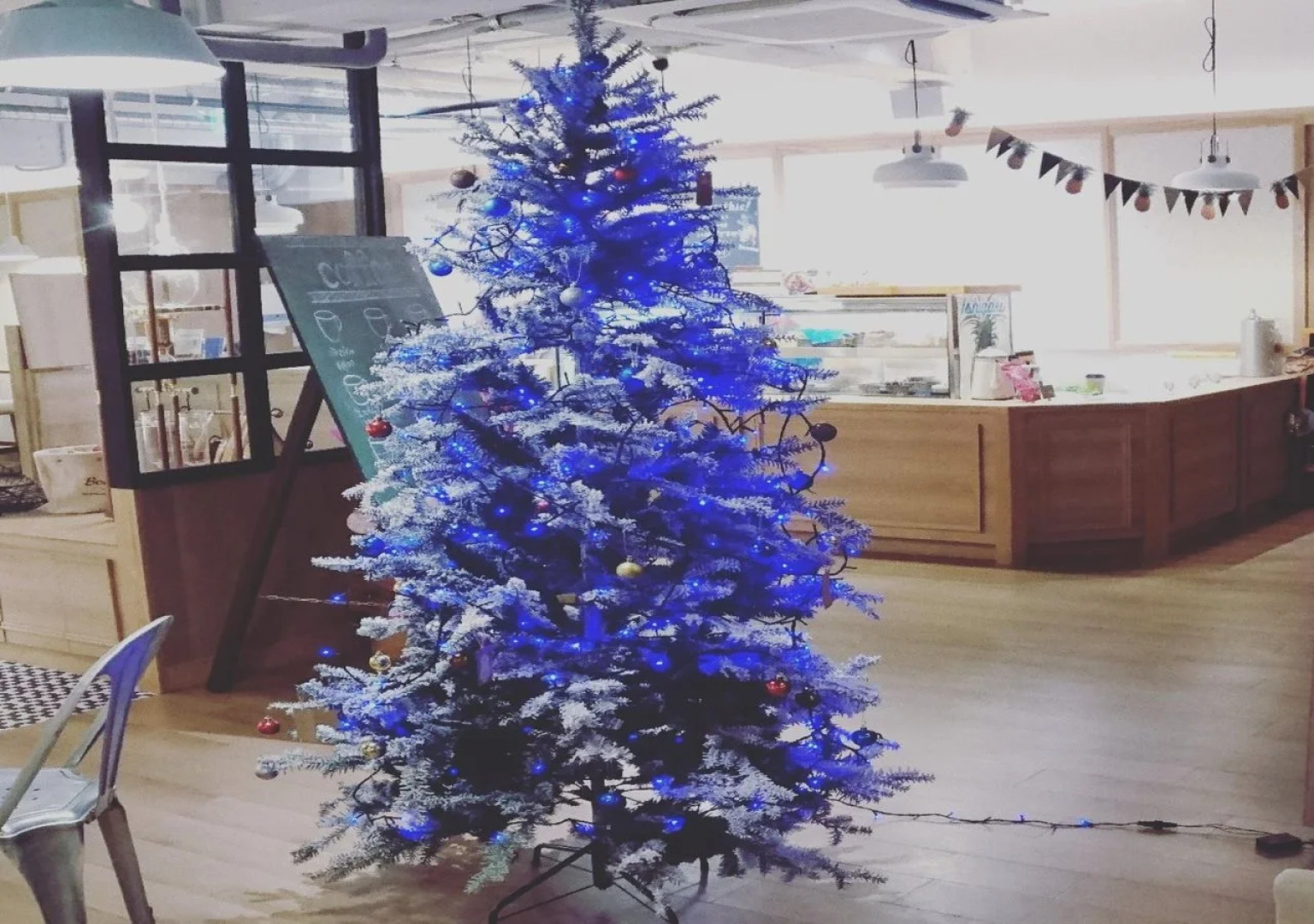 Blue Cabin Ishigaki Jima