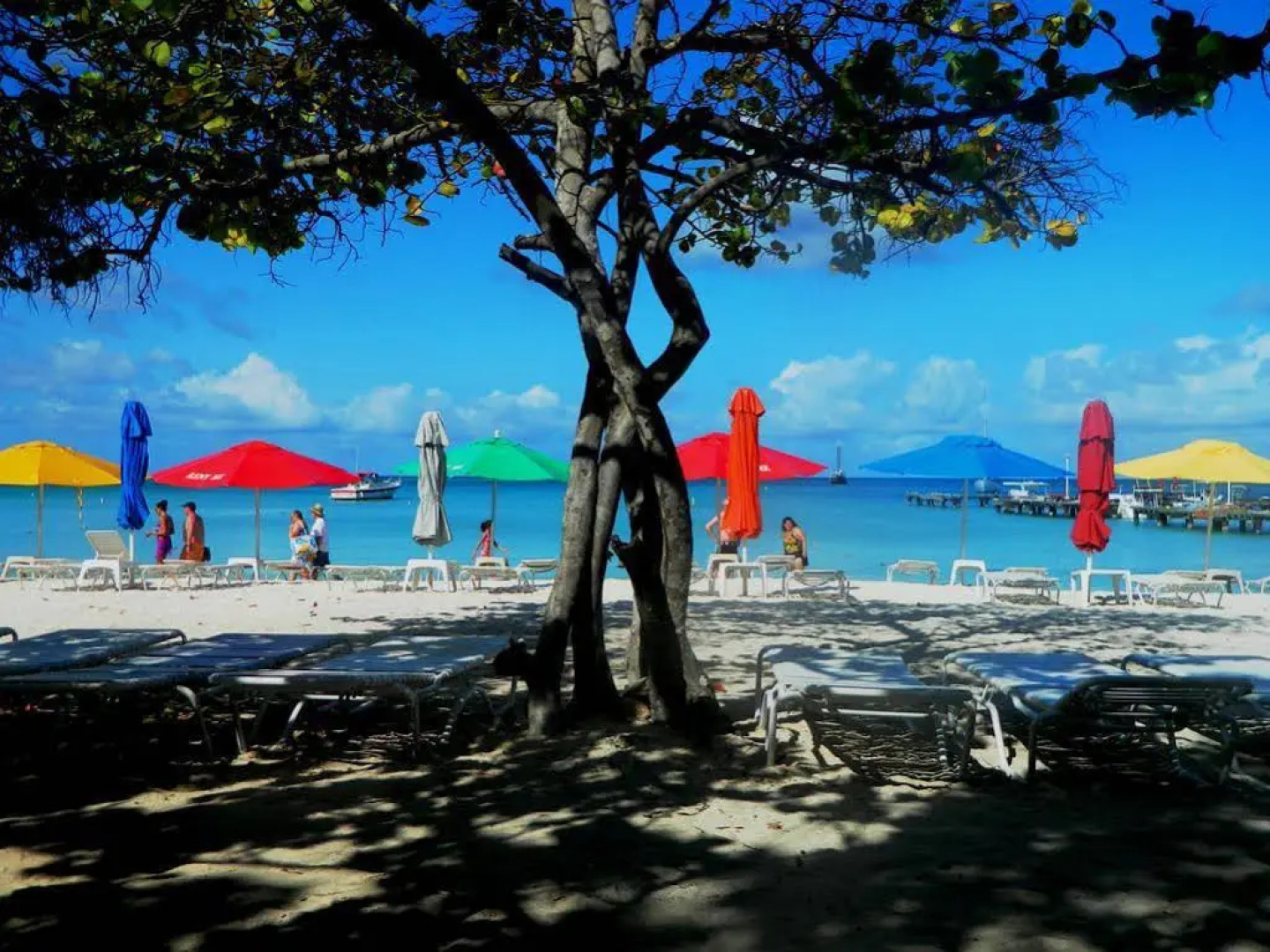 Pirela Realty Aruba Apartments