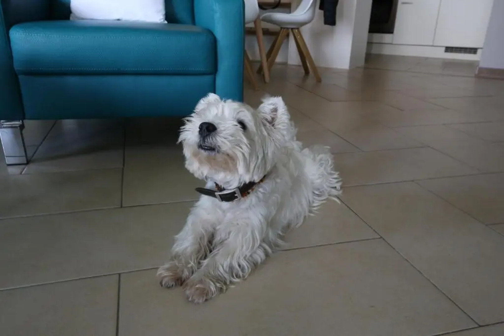 RheinDesign River Promenade