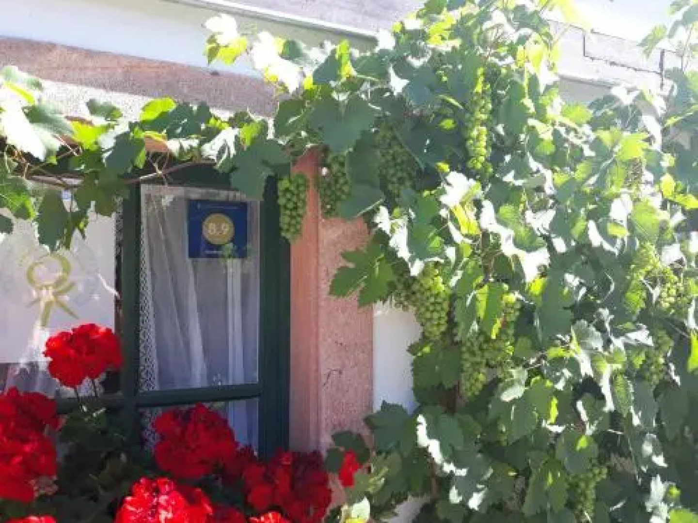 Balancehaus Kohren Sahlis dein Kurhaus in Sachsen