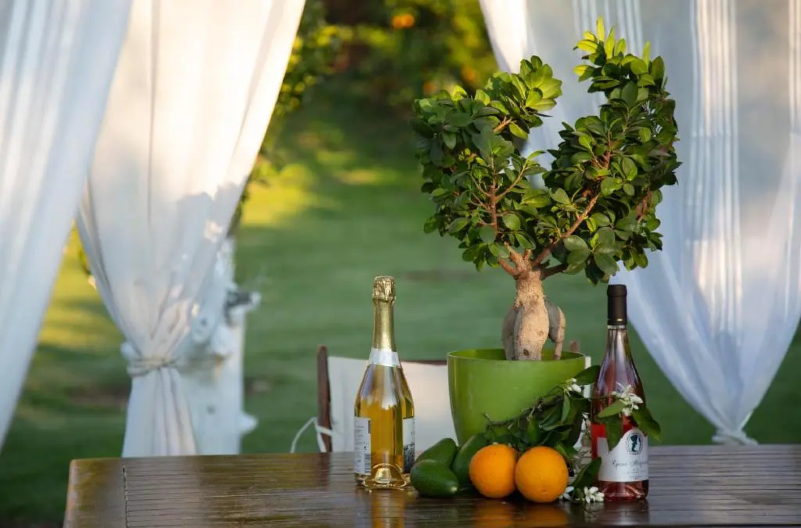 Neriana Villa - Garden Paradise