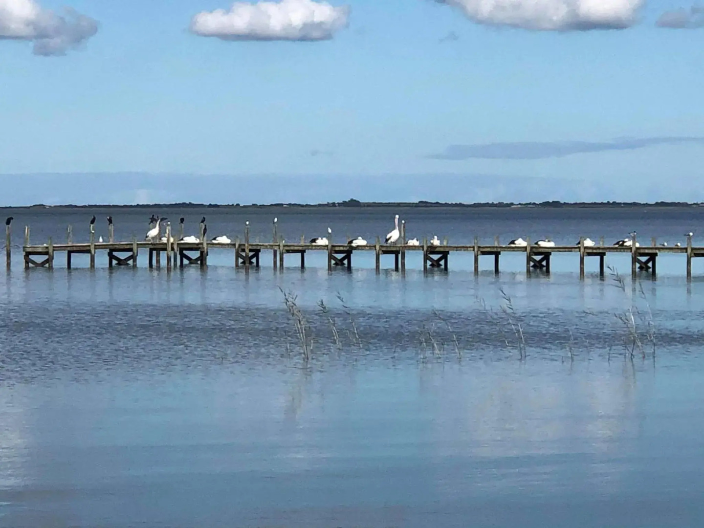 Holiday Escape Milang