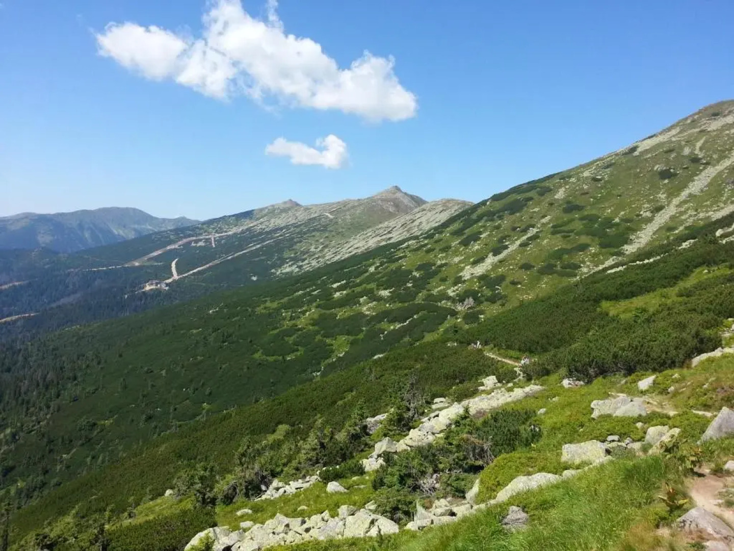 Apartman Naji - Tale