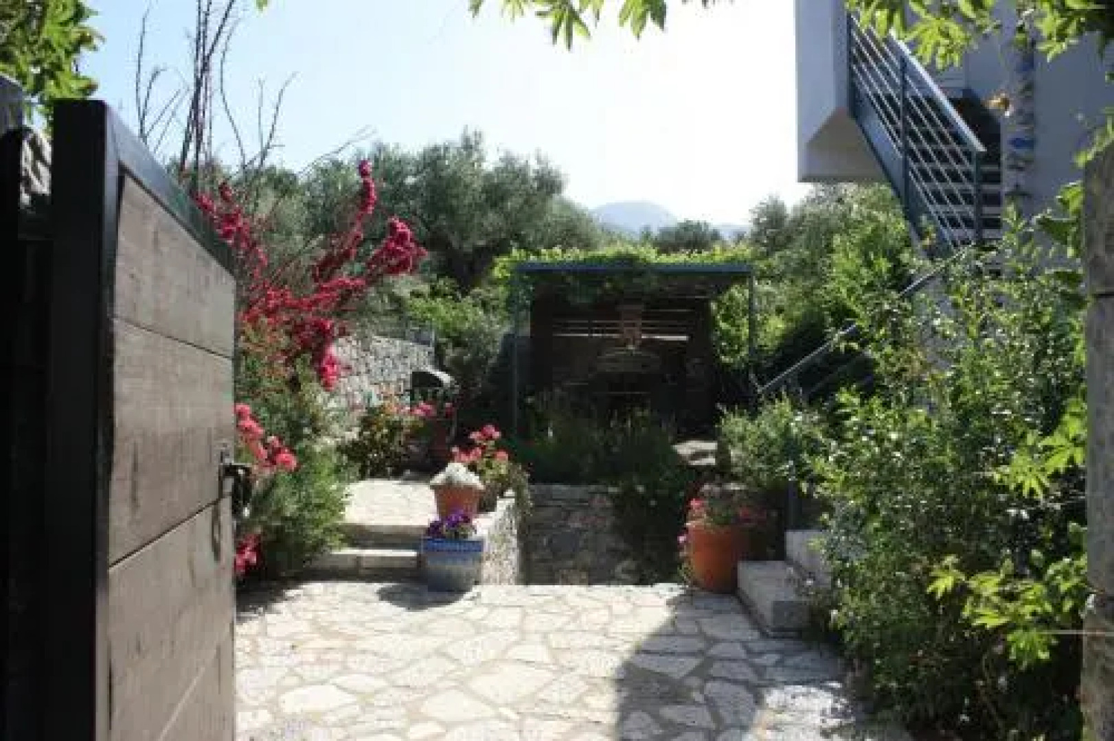 The Olive Grove Boutique Villas