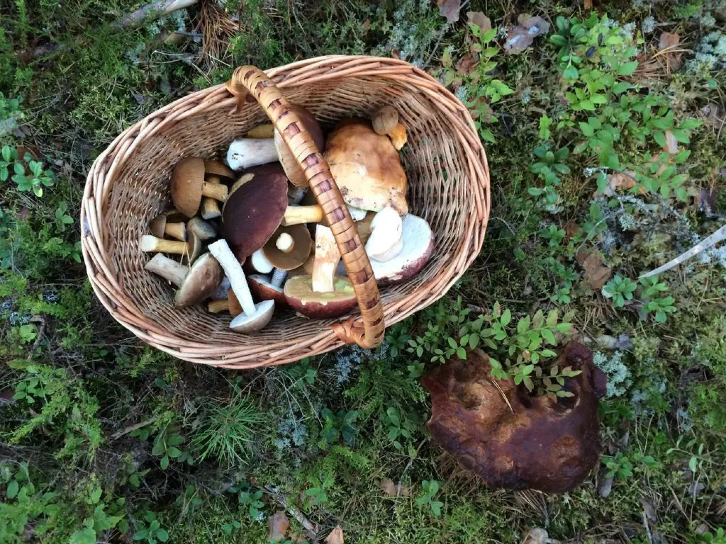 Semeinaya Baza Medvejia Kara