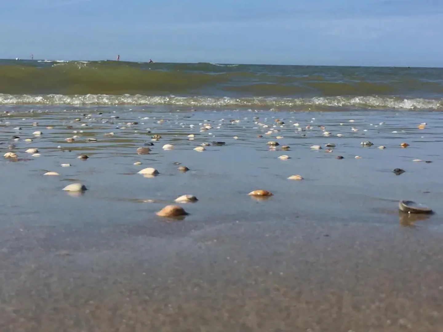 Sea You Hotel Noordwijk