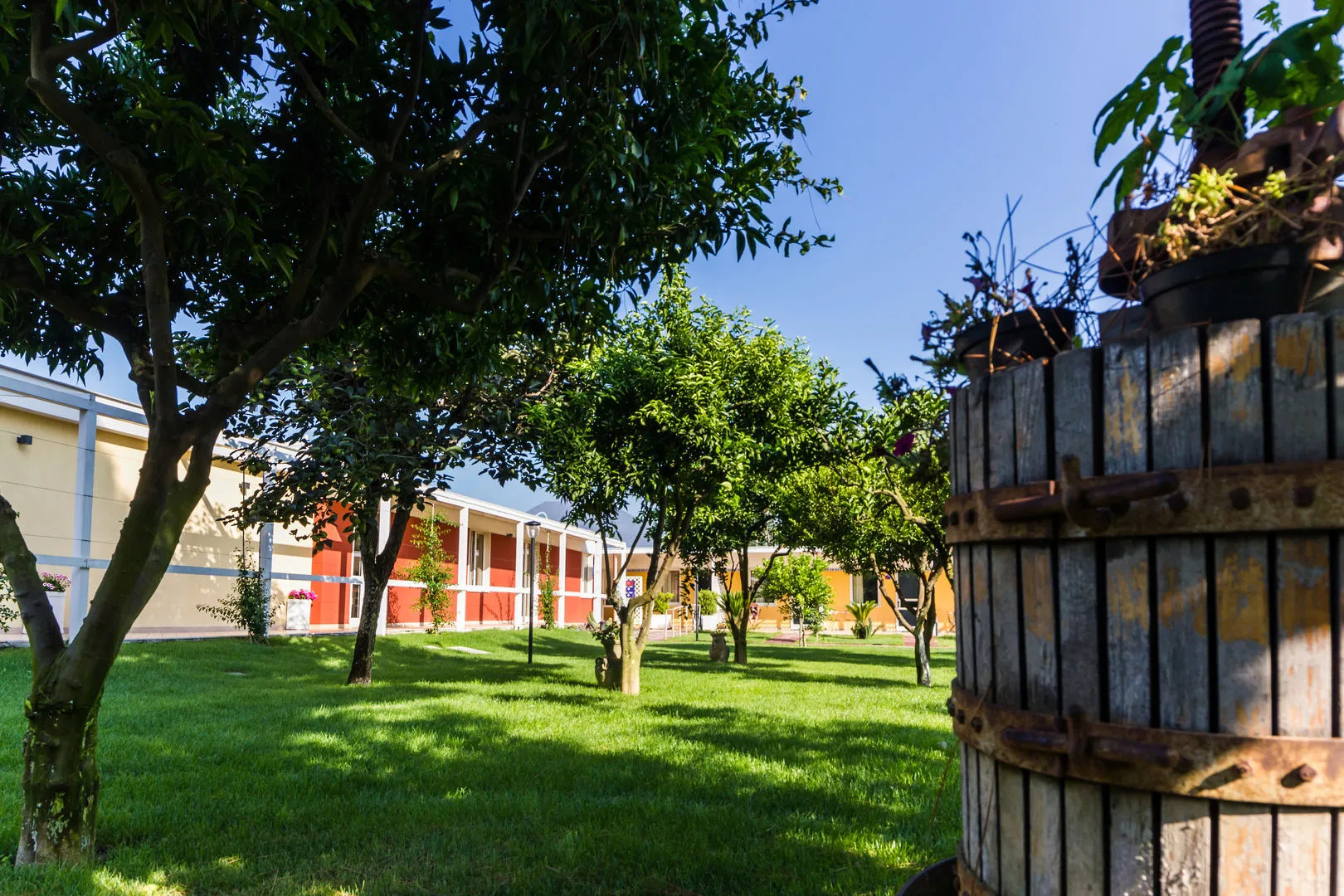 Resort & Winery Bosco De Medici