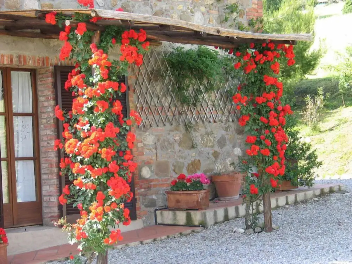 Verdidea - Podere Contignano