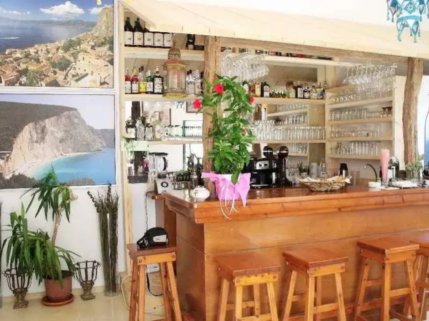 Aragorn Paradise Garden