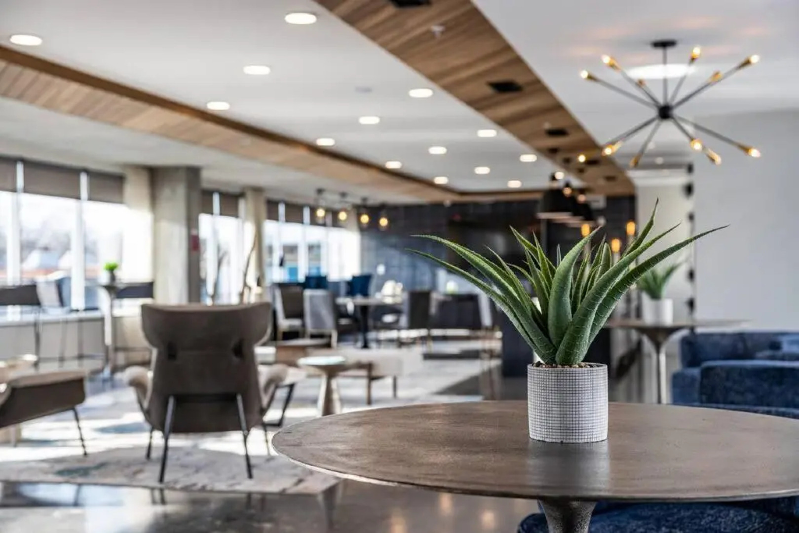 Museum District Apt Retreat w/BBQ Patio and Pool