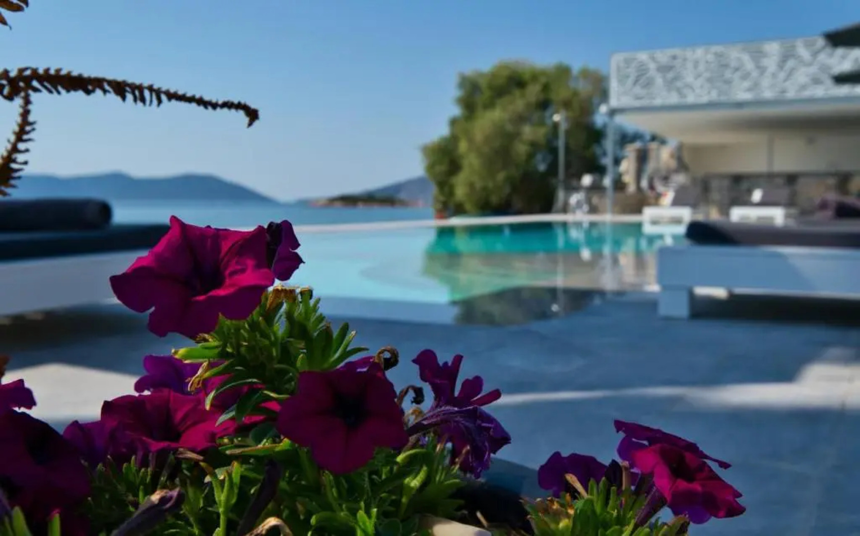 Dardiza Boutique Hotel