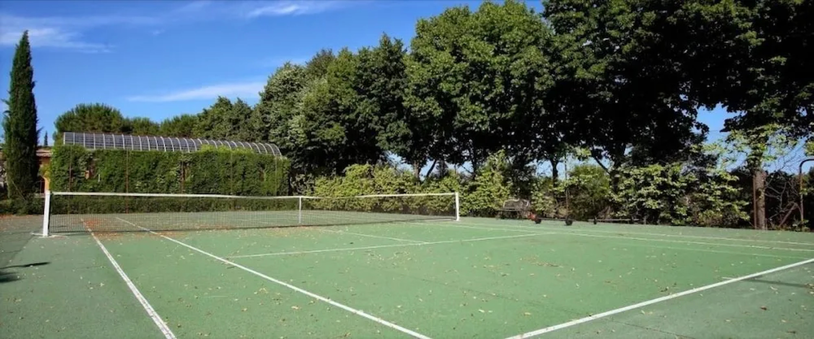 The Provence Experience